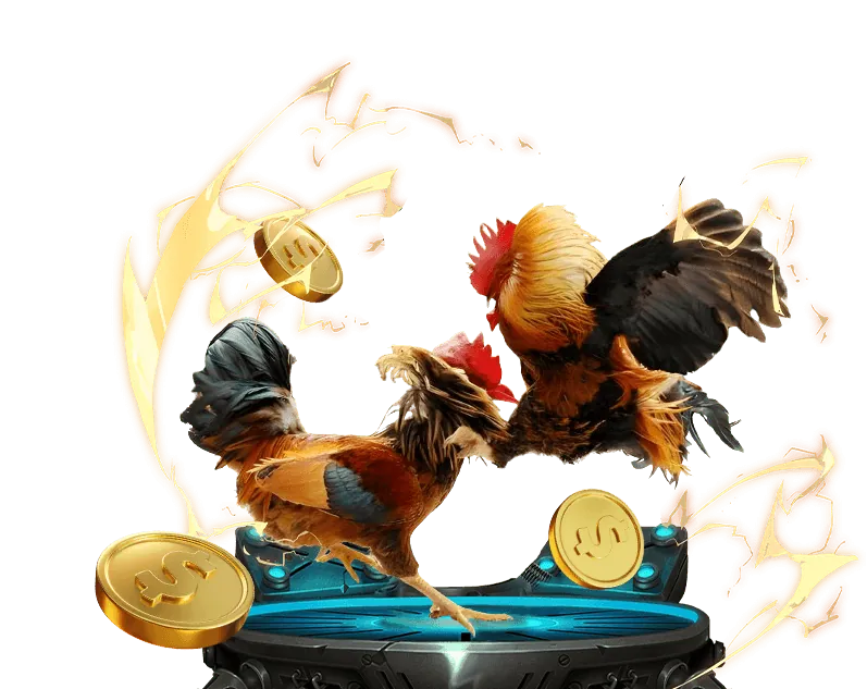 Hình ảnh đội ngũ hỗ trợ khách hàng 24/7 của ZX88